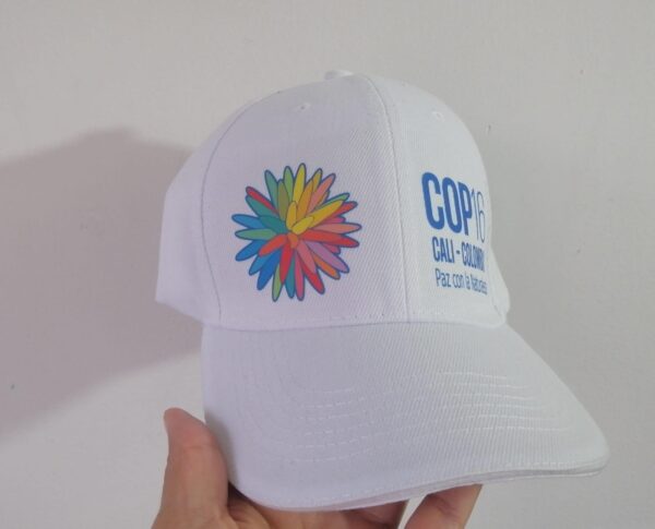 Gorra Estampada
